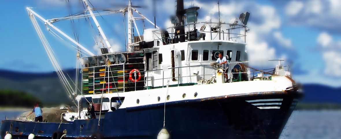 Bateau de pêche